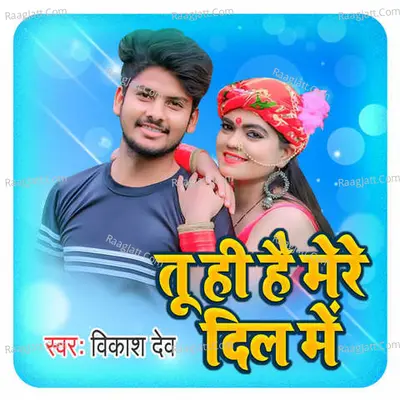 Vikash Dev Image