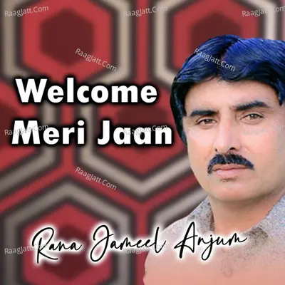 Welcome Meri Jaan Cover