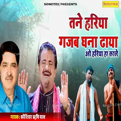 Tane Hariya Gajab Ghana Dhaya