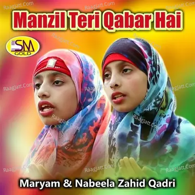 Manzil Teri Qabar Hai Poster