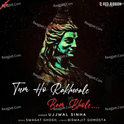 Tum Ho Rakhwale Bam Bhole Cover