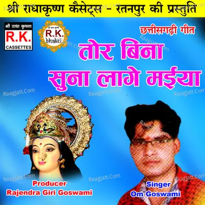 Tor Bina Suna Lage Maiya (Chhattisgarhi Jas Geet) Cover