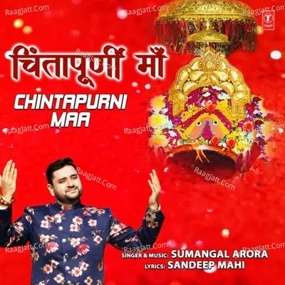 Sumangal Arora Image