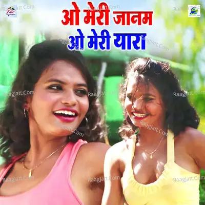 O Meri Janam O Mere Yara Cover