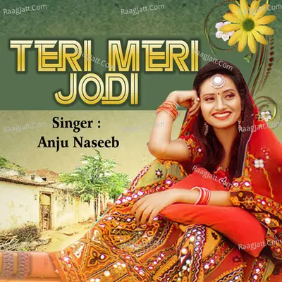 Teri Meri Jodi