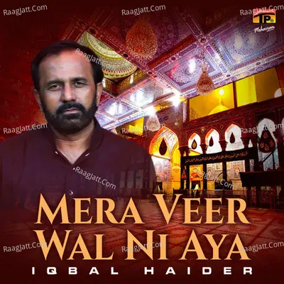 Mera Veer Wal Ni Aya Poster
