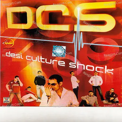 Desi Culture Shock Poster