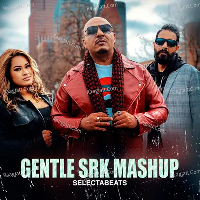 Gentle Srk Mashup Cover