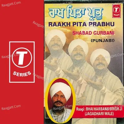Mohe Nirgun Sab Gun Tere - Bhai Harbans Singh Ji (Jagadhari Wale)