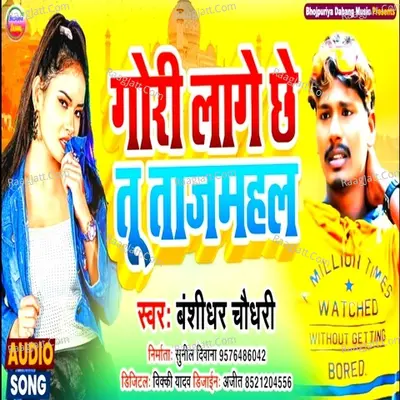 Gori Laage Chhe Tu Tajmahal Cover