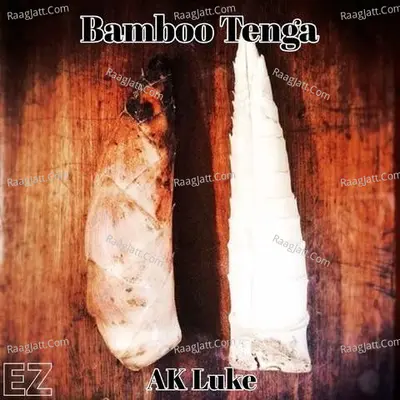 Bamboo Tenga Cover
