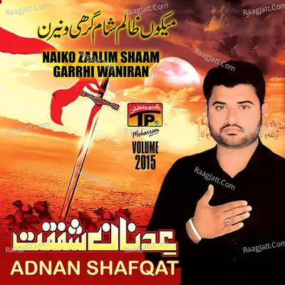 Shaam Garrhi Waniran, Vol. 2015 - Adnan Shafqat