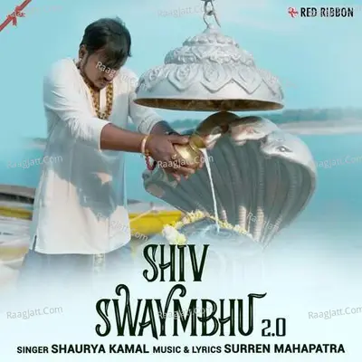 Shaurya Kamal Image