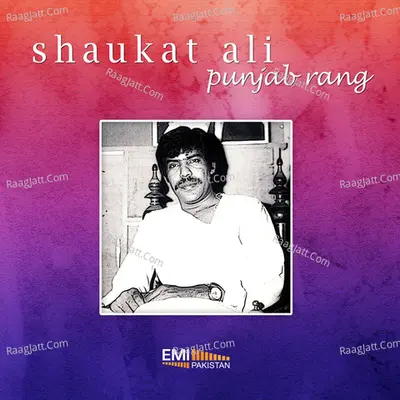 Punjab Rang Poster