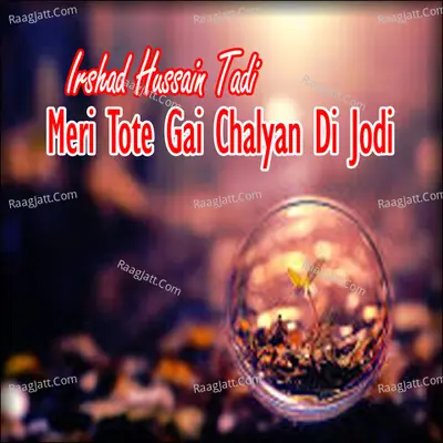 Meri Tote Gai Chalyan Di Jodi Poster