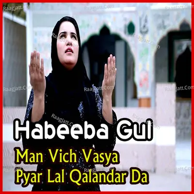 Habeeba Gul