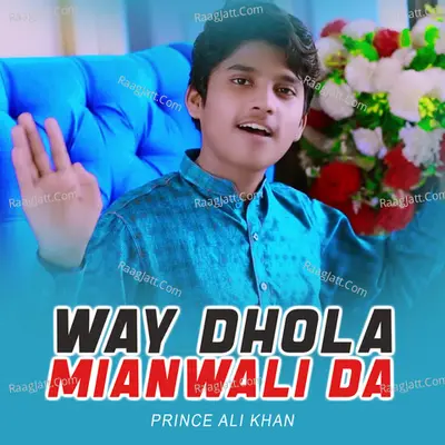 Way Dhola Mianwali Da Cover