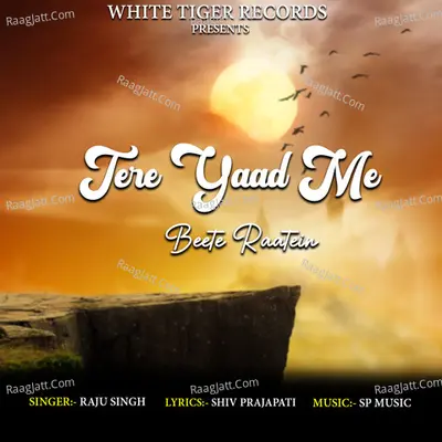 Tere Yaad Me Beete Raatein
