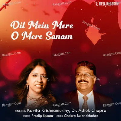 Dil Mein Mere O Mere Sanam Cover