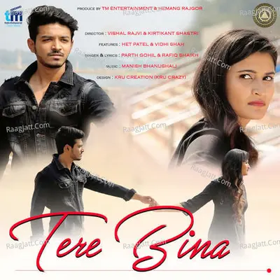 Tere Bina Cover