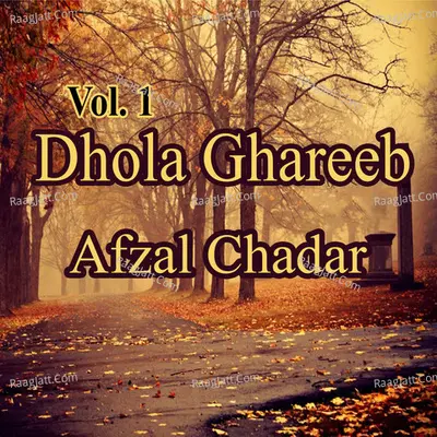 Dhola Ghareeb, Vol. 1 - Afzal Chadar