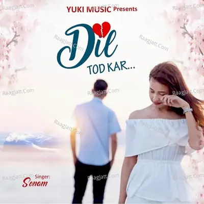 Dil Tod Kar Cover
