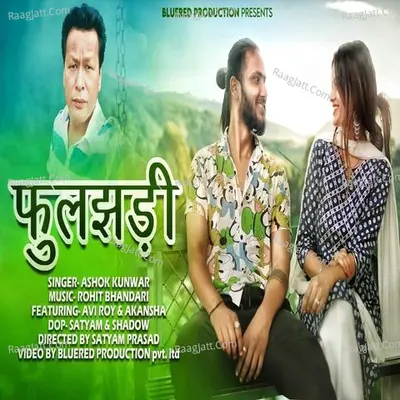 Phulzari Cover