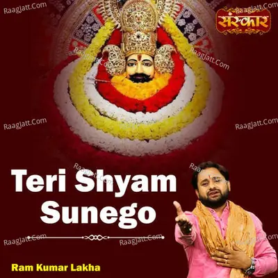 Teri Shyam Sunego