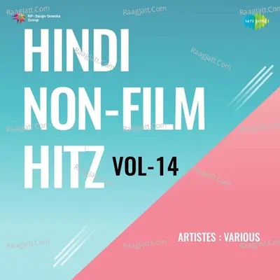 Hindi Non - Film Hitz Vol - 14 Cover