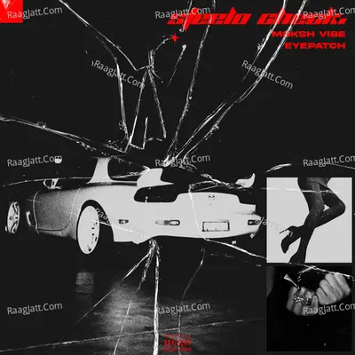 Steelo Check. Cover
