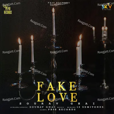 Fake Love Cover