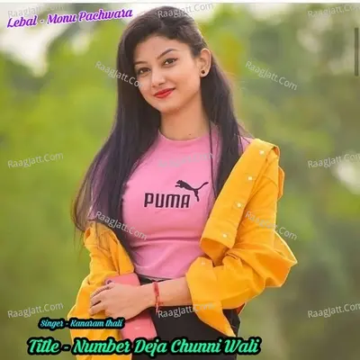 Number Deja Chunni Wali Cover