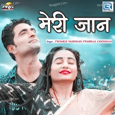 Meri Jaan Cover