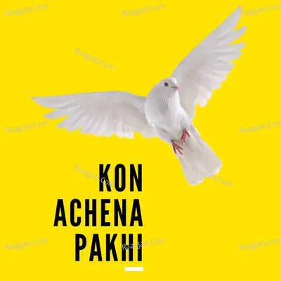 KON ACHENA PAKHI - SREYASHI RAY