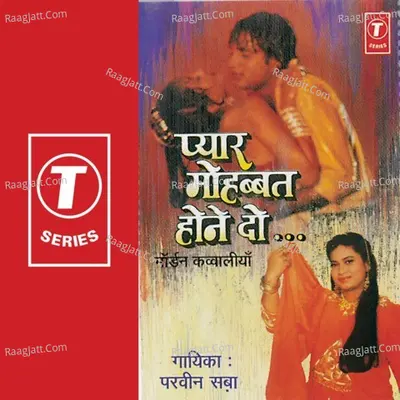 Pyar Mohabbat Hone Do - Praveen Saba