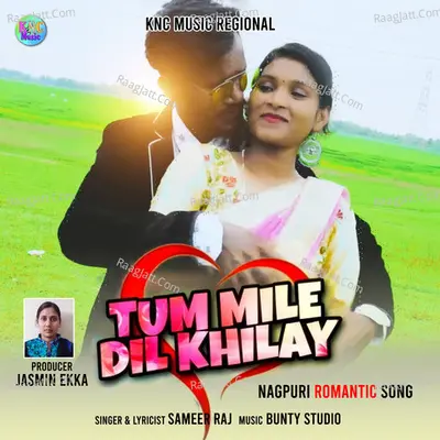 Tum Mile Dil Khilay Cover