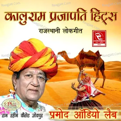 Kaluram Prajapati Hits Poster
