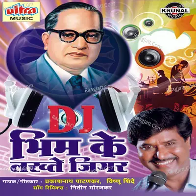 Dj Bhim Ke Lakhte Jigar Poster