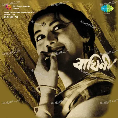 Baghini Poster