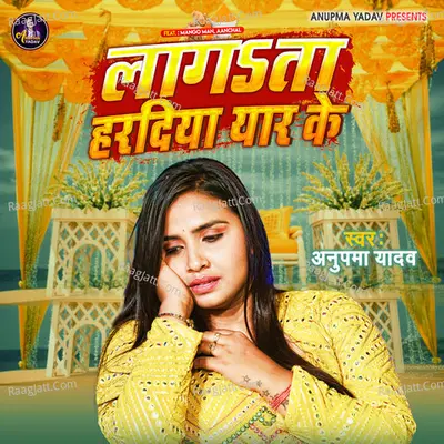 Aanchal Image