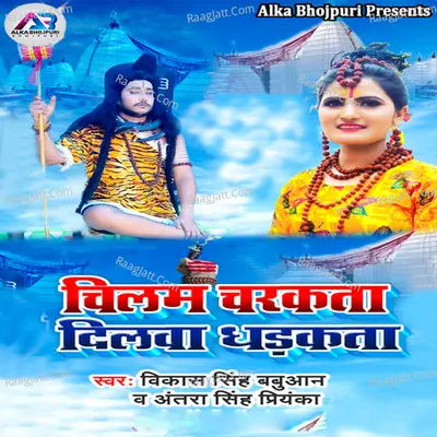 Chilam Charkata Dilava Dhadakta Cover