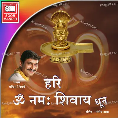 Hari Om Namah Shivay (Dhoon) Cover