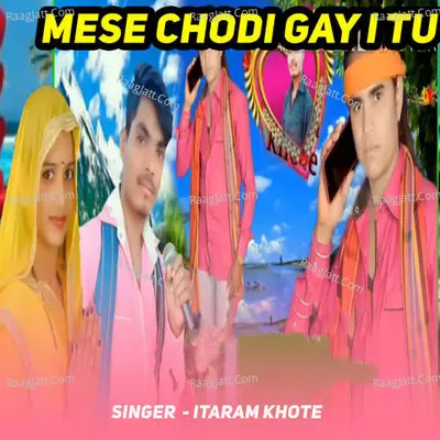 Mese chodi gayi tu Cover