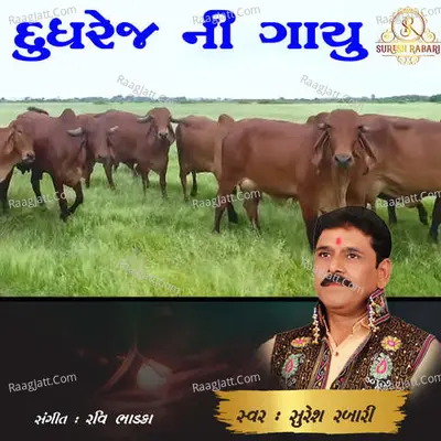 Dudhrej Ni Gayu
