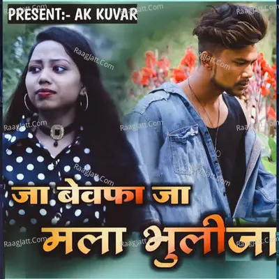 Ja Bewafa Ja Tu Mala Bhuli Ja Cover