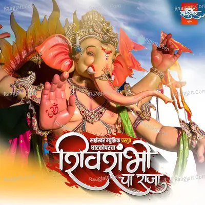 Ashwin Nirbhavne Image