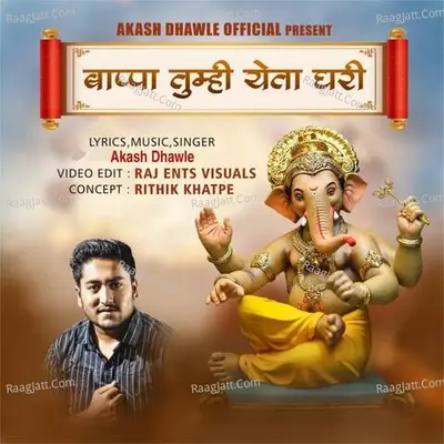 Akash Dhawle Image