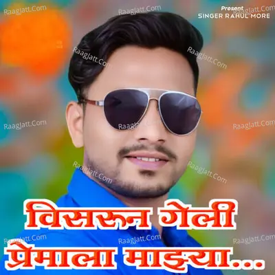 Rahul More Image