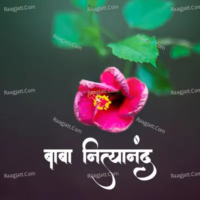 Amrutacha Megh Varshala (Baba Nityanand) Cover