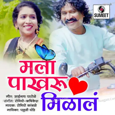 Mala Pakhru Milala Cover